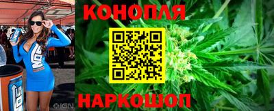 прущие грибы Кунгур